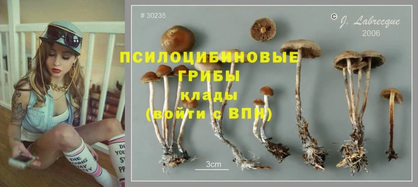 Альфа ПВП Осташков