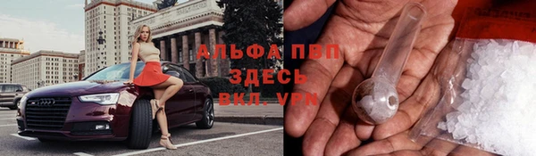 ГАЛЛЮЦИНОГЕННЫЕ ГРИБЫ Пересвет