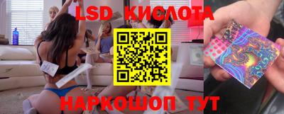 стаф Берёзовский