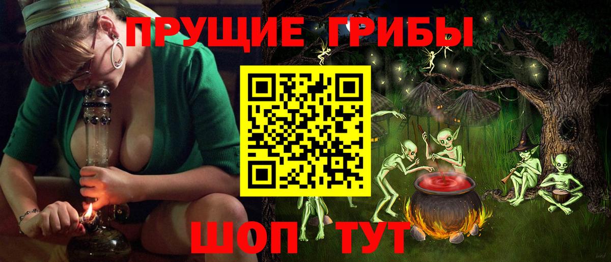 Белореченск  Псилоцибиновые грибы Psilocybine cubensis  Вход с VPN 