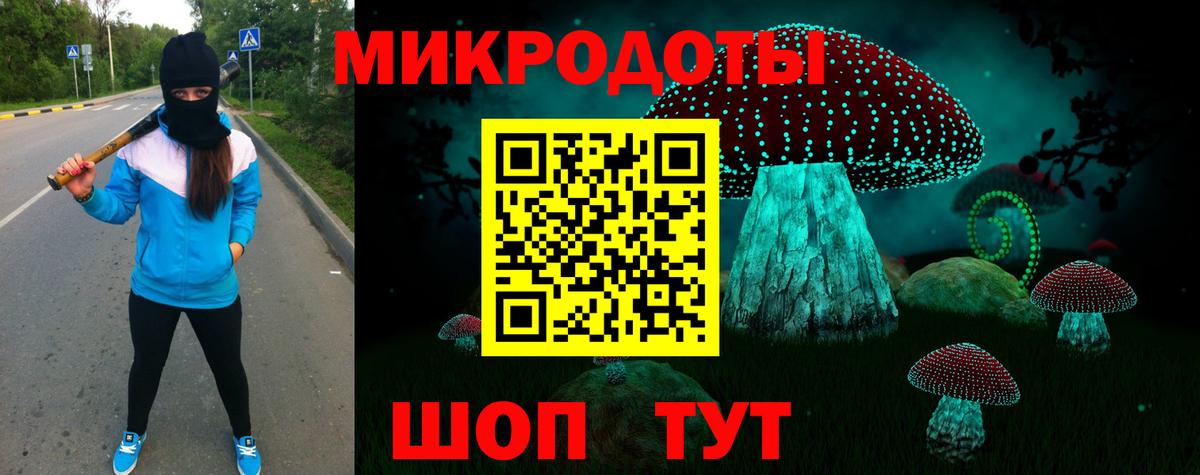 Галлюциногенные грибы Cubensis Белореченск